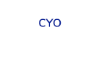 Computerize Yor Office